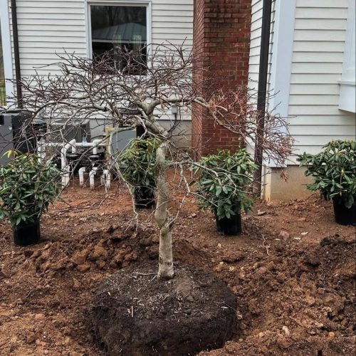 ae6381cc-1fa0-4727-a8bd-457be6f2814f